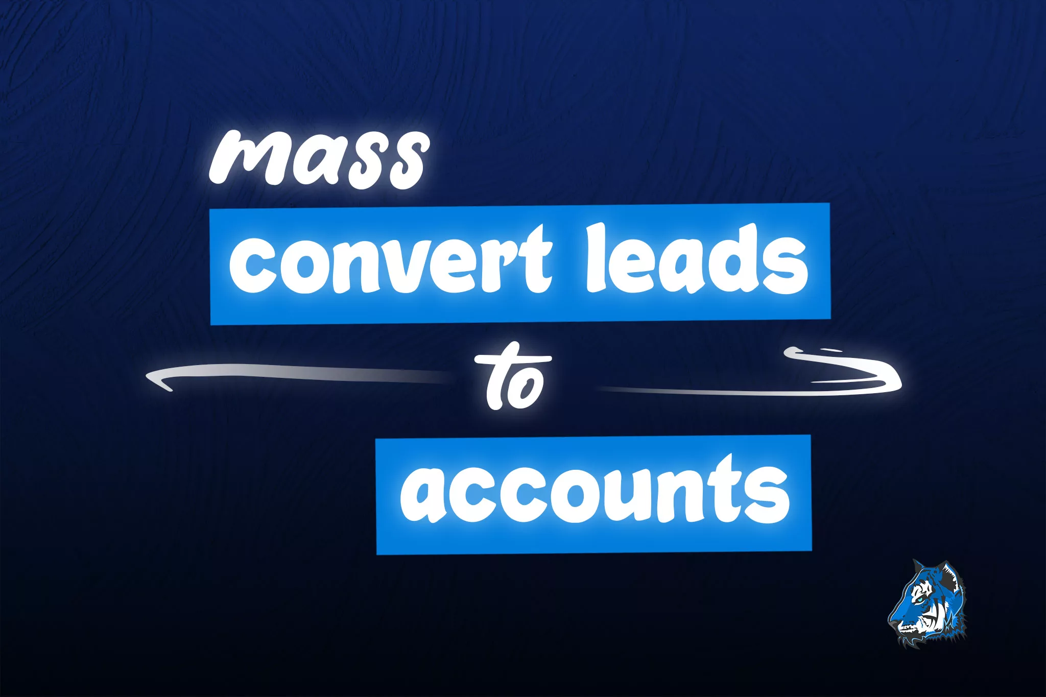 Mass Convert Leads to Accounts in Salesforce